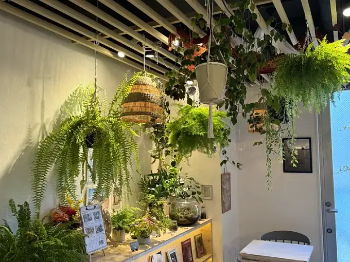 グリーンウォールと観葉植物に囲まれた緑あふれる空間／ちょいす立川 コワーキングスペース
